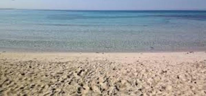 Acquazzurra Affittacamere Torre Lapillo Exterior foto